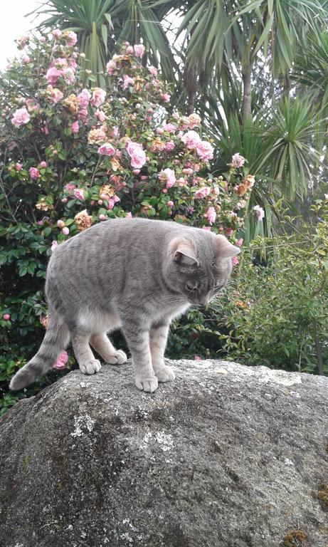 シティ ライツ ブティック ロッジ ロトルア エクステリア 写真